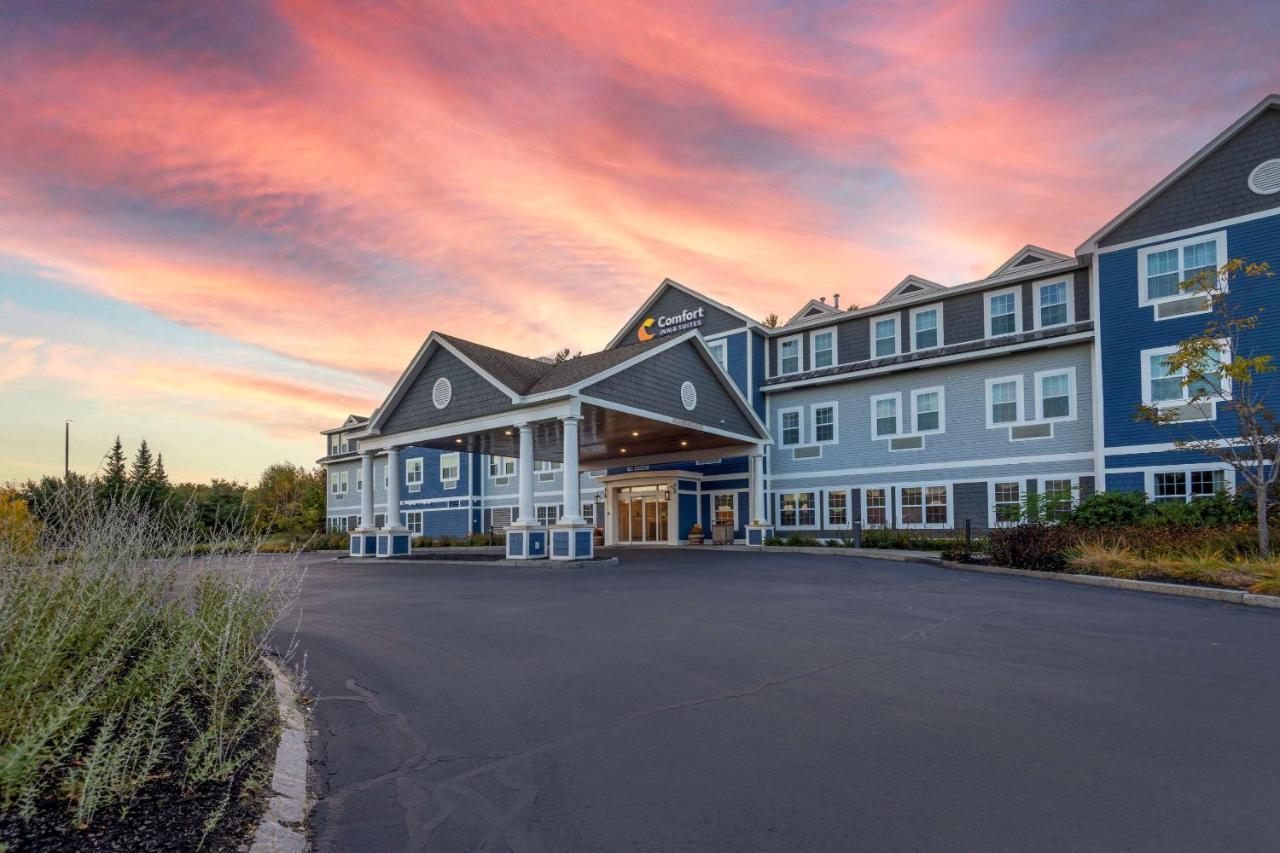 Comfort Inn & Suites Wilton Exterior foto
